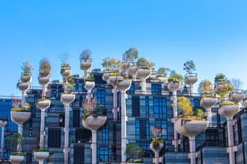 23605 ทัวร์จีน วัน 4 คืน ZGPVG-2620VZ สวนสนุกดิสนีย์แลนด์ ล่องเรือทะเลสาบซีหู ตึกต้นไม้ 6 บิน ไทยเวียตเจ็ท