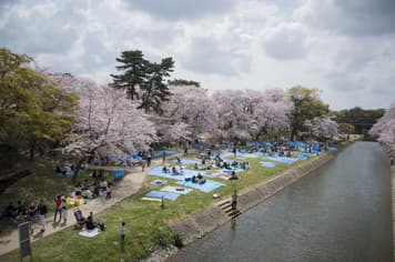 23667 ทัวร์ญี่ปุ่น วัน 4 คืน GO2NGO-TG084 หมู่บ้านชิราคาวาโกะ ทะเลสาบบิวะ  ตลาดปลาคุโรมง 6 บิน การบินไทย