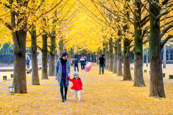 23785 ทัวร์เกาหลี วัน 4 คืน WDICN003 เกาะนามิ โซล ย่านฮงแด 5 บิน Air Busan