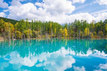 23818 ทัวร์ญี่ปุ่น วัน 4 คืน XJ356 เมืองโอตารุ  บ่อน้ำสีฟ้า น้ำตกชิราฮิเกะ 6 บิน ไทยแอร์เอเชียเอกซ์