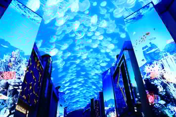 23887 ทัวร์เกาหลี วัน 2 คืน KBX67 ย่านฮงแด พระราชวังเคียงบก INSPIRE MEDIA ART 4 บิน Air Busan