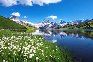 24045 ทัวร์สวิตเซอร์แลนด์ วัน 6 คืน STG164 บ่อหมีสีน้ำตาล เขากอร์นเนอร์แกรต ปราสาทน้ำแข็ง เมืองกรินเดลวัลด์ 9 บิน การบินไทย