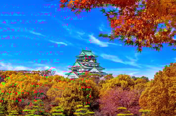 24058 ทัวร์ญี่ปุ่น วัน 3 คืน JVZ275 ขึ้นกระเช้าลอยฟ้าโกไซโซ ถนนชาเขียว ปราสาทโอซาก้า 5 บิน ไทยเวียตเจ็ท