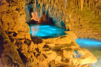 24069 ทัวร์ญี่ปุ่น วัน 3 คืน FD039 พิพิธภัณฑ์สัตว์น้ำซุราอุมิ ถ้ำธารมรกต ศาลเจ้านามิโนะอุเอะ 4 บิน Thai AirAsia