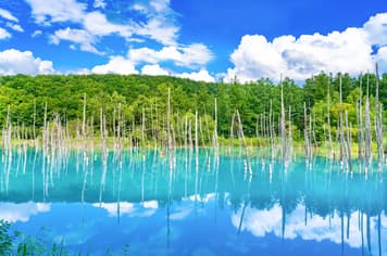 24086 ทัวร์ญี่ปุ่น วัน 3 คืน BT-CTS_A01_XJ บ่อน้ำสีฟ้า ศาลเจ้าฮอกไกโด คลองโอตารุ หมู่บ้านนิงเกิ้ลเทอเรซ 5 บิน ไทยแอร์เอเชียเอกซ์