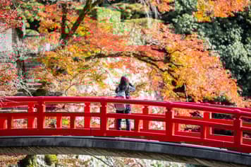 24114 ทัวร์ญี่ปุ่น วัน 4 คืน GO2HND-TG056 วัดไทเซคิจิ อุโมงค์ใบเมเปิ้ล ช้อปปิ้งซาคาเอะ 6 บิน การบินไทย