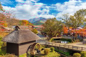 24183 ทัวร์ญี่ปุ่น วัน 4 คืน GO2NRT-TG078 ศาลเจ้าโทโชคุ ชมโชว์การแสดงนินจา โอชิโนะฮักไก ฟรีเดย์หนึ่งวัน 6 บิน การบินไทย