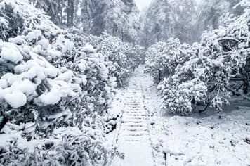 24588 ทัวร์จีน วัน 3 คืน ZGTFU-26263U อุทยานปี้เผิงโกว น้ำตไป๋หลง อุทยานภูเขาหิมะวาวูซาน 5 บิน Sichuan Airlines