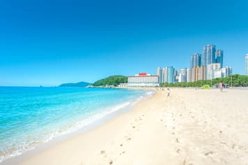 24736 ทัวร์เกาหลี วัน 3 คืน 2UPUS-BX001 ถนนอาร์ตสตรีทวง BTS สะพานกวังอัน หาดแฮอึนแด อุโมางค์ไวน์แห่งเมืองปูซาน 5 บิน Air Busan