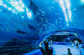 26736 ทัวร์จีน วัน 3 คืน บ้านตระกูลเฉิน เกาะซาเมี่ยน สวนสนุกฉางหลง เมืองโบราณหนานโถว 5 บิน Thai Lion Air