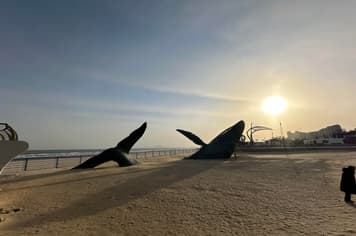 26950 ทัวร์จีน วัน 5 คืน อ่าวจันทรา หาดหญ้าทะเลแดง เวนิสแห่งต้าเหลียน จัตุรัส 54 6 บิน ไทยเวียตเจ็ท