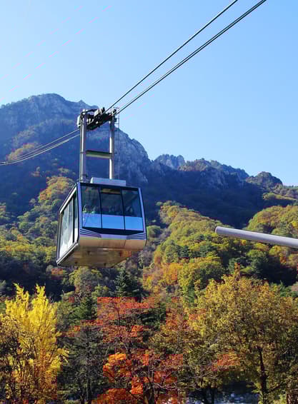 ทัวร์เกาหลี โซล 5 วัน 4 คืน อุทยานซอรัคซาน เกาะนามิ บิน BX