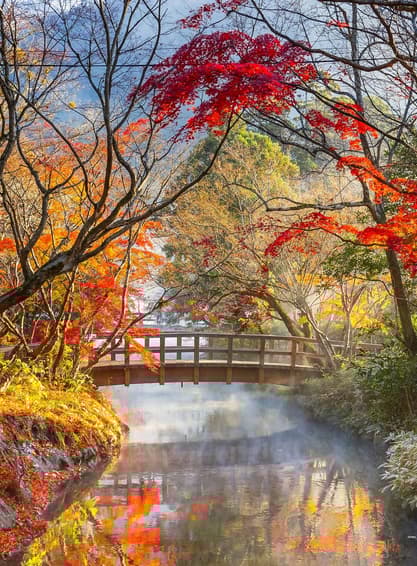 TOKYO IBARAKI KAWAGOE FUJI AUTUMN 5D 3N BY XJ -- OCT'25 --- ซุปตาร์...ซุปตาร์หนุ่มเมืองเก่ากับสาวบุษบา