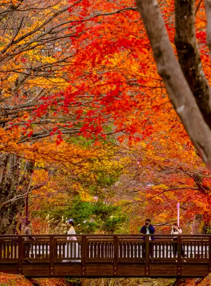 TOKYO KAMAKURA HAKONE FUJI 5D 3N BY XJ -- OCT - DEC'25 -- ซุปตาร์...ลาลาล่องใบไม้เปลี่ยนสี แอบชิลล์วิวทะเล