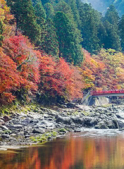 ทัวร์ญี่ปุ่น นาโกย่า เกียวโต 6 วัน 4 คืน XJ288 หุบเขาโครังเค นาบานะโนะซาโตะ บิน XJ (DMK)