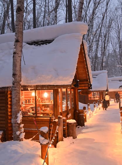 ทัวร์ญี่ปุ่น ฮอกไกโด ฟูราโน่ 6 วัน 4 คืน ZGCTS-2520VZ บิเอะ อาซาฮิกาว่า โอตารุ ซัปโปโร (เที่ยวครบทุกวัน) (BKK)