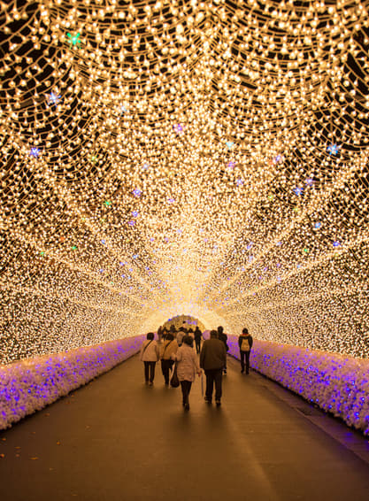 ทัวร์ญี่ปุ่น โอซาก้า ทาคายาม่า เกียวโต 5 วัน 3 คืน XJ304 นาบานาโนะ ซาโตะ วัดคิโยมิสึ บิน XJ (DMK)