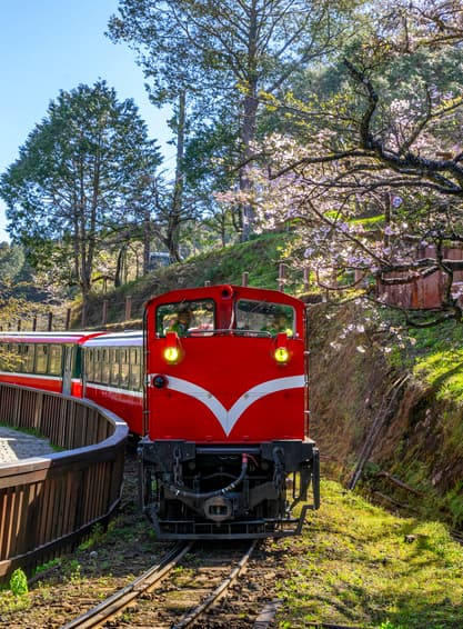 ทัวร์ไต้หวัน ไทจง ไทเป เกาสง 4 วัน 3 คืน BT-TPE21_CI หุบเขาน้ำร้อนเป่ยโถ่ว ทะเลสาบสุริยันจันทรา อุทยานอาลีซาน สวนดอกไม้ซื่อหลิน บิน CI (BKK)