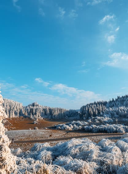 ทัวร์จีน ฉงชิ่ง 6 วัน 4 คืน BT-CKG11_VZ อู่หลง หลุมบ่อฟ้า หุบเขานางฟ้า รถไฟฟ้าทะลุตึก หงหยาต้น บิน VZ (BKK)