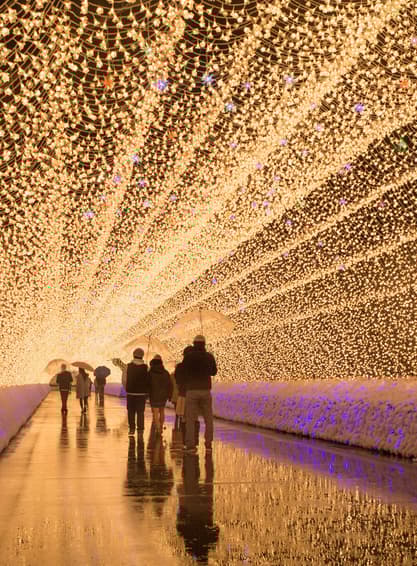 มหัศจรรย์...OSAKA นาบานาโนะซาโตะ ชิราคาวาโกะ ชินโฮทากะ อุโมงค์เมเปิ้ล 6 วัน 4 คืน