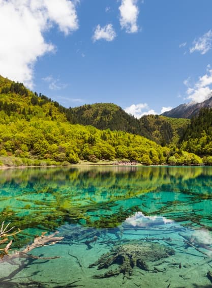 ทัวร์จีน เฉิงตู 5 วัน 4 คืน อุทยานหวงหลง อุทยานจิ่วจ้ายโกว บิน SL (DMK)