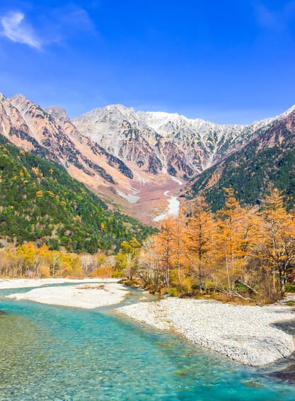 GO2KIX-TG064 KAMIKOCHI INUYAMA TAKAYAMA AUTUMN 6D 4N โดยสายการบินไทย [TG]
