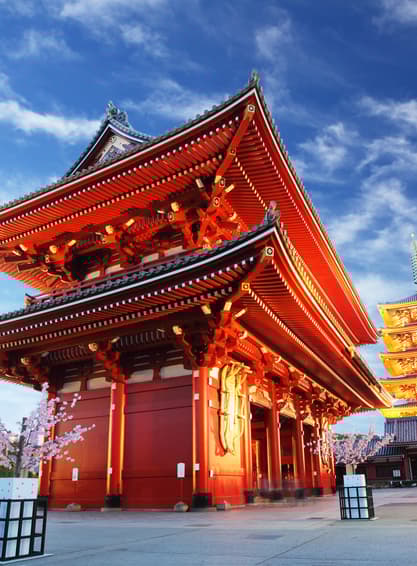 GO2NRT-TG088 HAKUBA IWATAKE SHIRAKAWAKO SAKURA 6D 4N  โดยสายการบินไทย [TG]