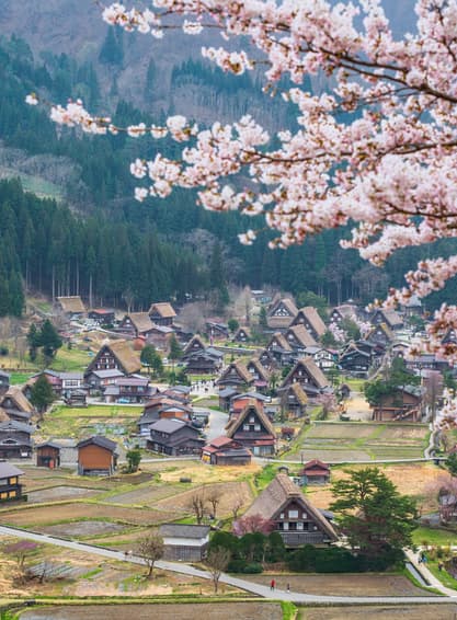 TAKAYAMA TOYAMA TOKYO COLORFUL FLOWER 7D 4N 
