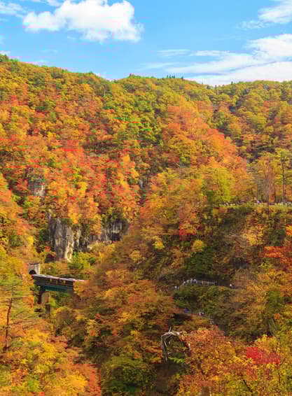 GO2NRT-TG080 TOKYO MIYAGI SENDAI ROMANTIC AUTUMN  6D 4N โดยสายการบินไทย [TG]
