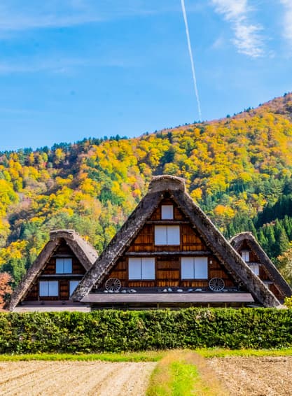 GO2NGO-TG067 TAKAYAMA KAMIKOCHI FUJI TOKYO  7D 4N โดยสายการบินไทย [TG]