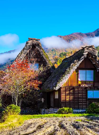 ทัวร์ญี่ปุ่น นาโกย่า เกียวโต 6 วัน 4 คืน ชิราคาวาโกะ วัดคิโยมิสึ บิน XJ (DMK)