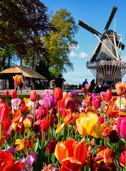 ทัวร์ยุโรป เบลเยียม ลักเซมเบิร์ก เนเธอร์แลนด์ ฝรั่งเศส 8 วัน 5 คืน  จัตุรัสดัมสแควร์ สวนดอกไม้เคอเคนฮอฟ บิน SQ (BKK)