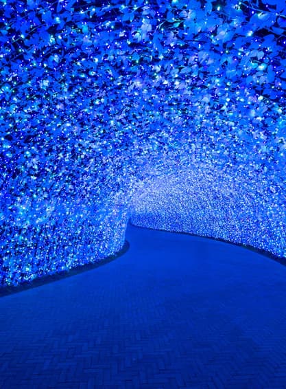 ทัวร์ญีปุ่น โอซาก้า โตเกียว 6 วัน 4 คืน ตลาดคุโรมง ย่านชินไซบาชิ งานประดับไฟ เก่าซันมาชิซึจิ บิน XJ (DMK)