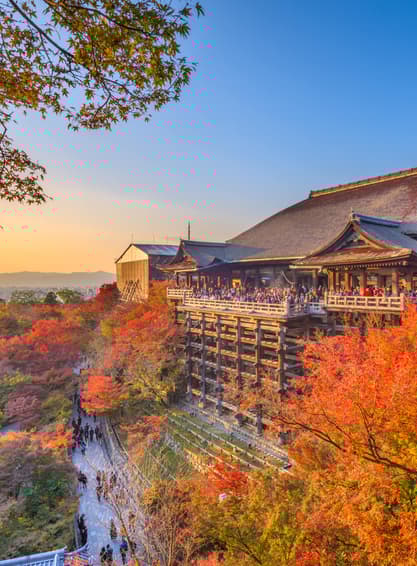 ทัวร์ญี่ปุ่น โอซาก้า นาโกย่า 6 วัน 4 คืน วัดคิโยมิสึ ชิราคาวาโกะ ชินไซบาชิ ซันมาชิซึจิ บิน XJ (DMK)