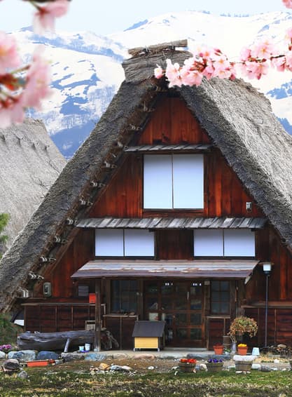 ทัวร์ญี่ปุ่น โตเกียว โอซาก้า 6วัน 4คืน เกียวโต ชิราคาวาโกะ เทศกาลชมดอกอาซาเลียสุดตระการตา โดยสายการบินไทย (TG) (BKK)