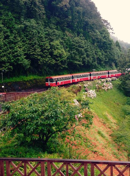 ทัวร์ไต้หวัน ไทเป 5 วัน 3 คืน เมืองเจียอี้ อาลีซาน ล่องเรือสุริยันจันทรา บรูราโน่แห่งไต้หวัน วัดหลงซาน บิน BR (BKK)