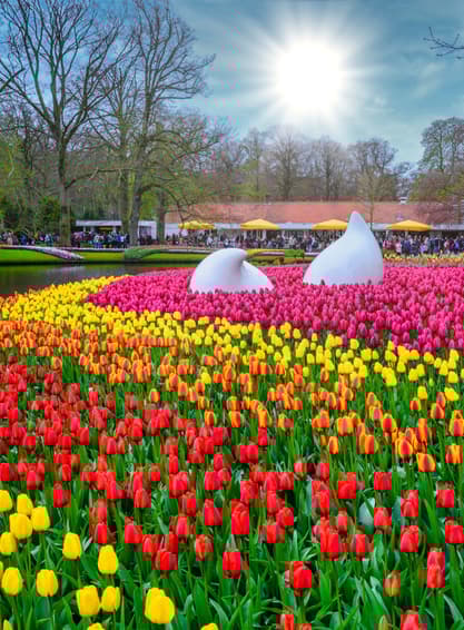 ทัวร์ยุโรป เยอรมนี เนเธอร์แลนด์ เบลเยียม  ลักเซมเบิร์ก 7 วัน 5 คืน GO3AMS-BR001 โบสถ์พระโลหิตศักดิ์สิทธิ์ แฟรงก์เฟิร์ต จัตุรัสโรเมอร์ ถนนช้อปปิ้งซายล์ บิน BR (BKK)