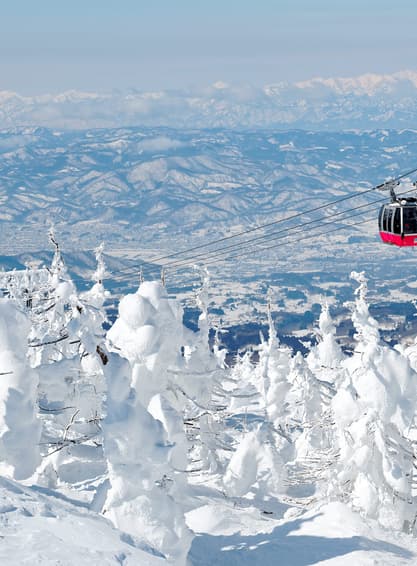 ทัวร์ญี่ปุ่น เซนได 5 วัน 3 คืน ZGSDJ-2603HB หมู่บ้านสุนัขจิ้งจอกแห่งซาโอะ ภูเขาซาโอะ ช้อปปิ้งย่านอิจิบังโจ กินซังออนเซ็น  บิน HB (BKK)