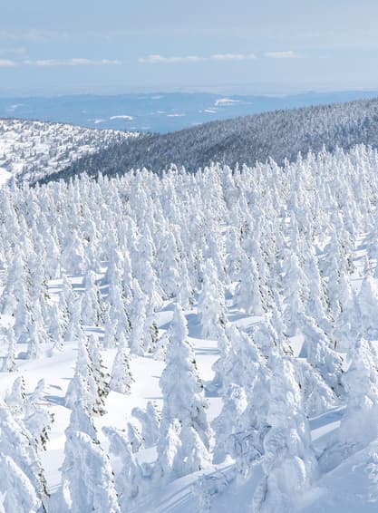 ทัวร์ญี่ปุ่น เซนได 6 วัน 4 คืน ZGSDJ-2601BR หมู่บ้านโออุจิจูคุ ทะเลสาบอินะวะชิโระ ถนนคลิสโรด หมู่บ้านสุนัขจิ้งจอก บิน BR (BKK)