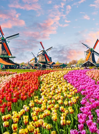 ทัวร์ยุโรป ยอรมัน เนเธอร์แลนด์ เบลเยียม ฝรั่งเศส 8 วัน 5 คืน GSV145 หมู่บ้านกีธูร์น กังหันลมซานส์สคันส์ สวนเคอเคนฮอฟ จัตุรัสดัมสแควร์  บิน SV (BKK)