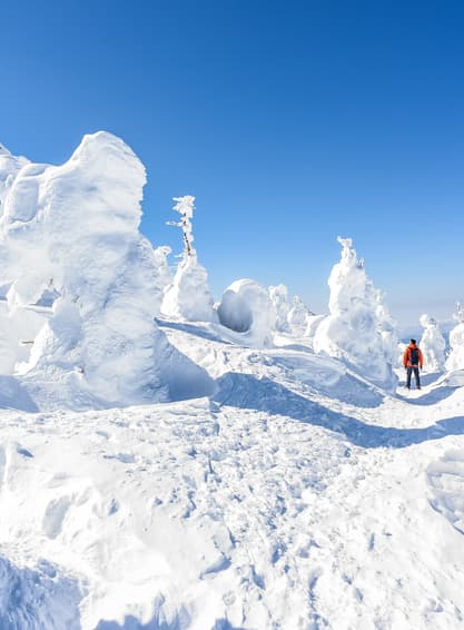 ทัวร์ญี่ปุ่น เซนได 6 วัน 4 คืน GO2SDJ-XJ004 Snow monster ทะเลสาบโทวาดะ วัดซูซอนจิ หมู่บ้านซามูไรคาคุโนะ ดาเตะ (หิมะ) (ผ่อน 0%) บิน XJ (DMK)