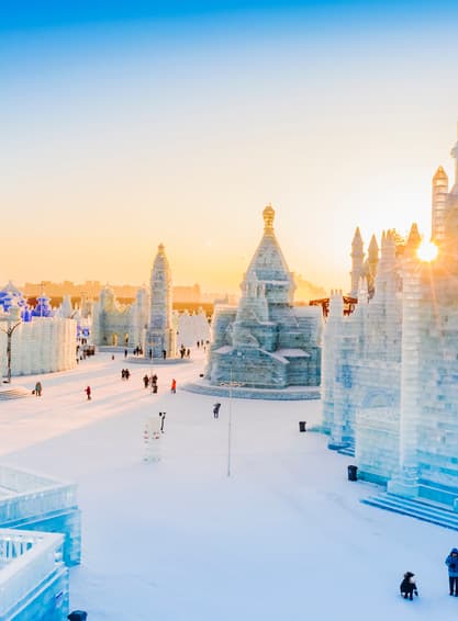 ทัวร์จีน ชิงเต่า 7 วัน 4 คืน BT-HRB17_SC ฮาร์บิน ชิงเต่า ยาบูลี่ มู่ตันเจียง หมู่บ้านหิมะ บิน SC (BKK)