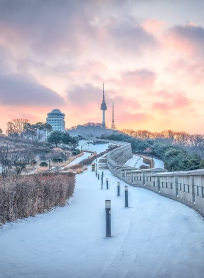 ทัวร์เกาหลี โซล 5วัน 3คืน WDICN010 เกาะนามิ วัดวาวูจองซา พระราชวังเคียงบ๊อค ช้อปปิ้งตลาดเมียงดง บิน BX/TW (BKK)