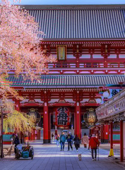 ทัวร์ญี่ปุ่น โตเกียว 6 วัน 4 คืน GO2NRT-TG092 วัดอาซากุสะ ศาลเจ้าโทโชคุ เอโดะ วันเดอร์แลนด์ หมู่บ้านน้าใส โอชิโนะฮักไก บิน TG (BKK)