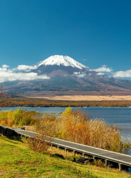 ทัวร์ญี่ปุ่น โตเกียว 5วัน 3คืน JXJ234 วัดอาซากุสะ สวนอุเอโนะ หมู่บ้านโอชิโนะ ฮักไก ย่านชินจูกุ (ซากุระ) บิน XJ (DMK)