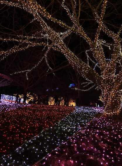 ทัวร์ญี่ปุ่น โตเกียว 5วัน 3คืน JXJ235 งานประดับไฟซากามิโกะ วัดอาซากุสะ ย่านกินซ่า สวนอุเอโนะ บิน XJ (DMK)