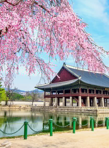 ทัวร์เกาหลี โซล 5 วัน 3 คืน WEKR_GSSB2026 เกาะนามิ เอเวอร์แลนด์ธีมปาร์ค อุทยานแห่งชาติซอรัคซาน วัดชินฮึงซา พระราชวังเคียงบกกุง บิน OZ (BKK)