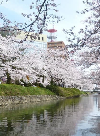 ทัวร์ญี่ปุ่น โอซาก้า นาโกย่า 6วัน 4คืน RJ-XJ120 วัดทองคินคะคุจิ ชิราคาวาโกะ ปราสาทโทยามะ ชินไซบาชิ บิน XJ (DMK)