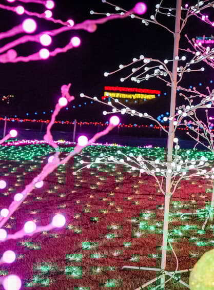 ทัวร์ญี่ปุ่น โตเกียว นาโกย่า 5 วัน 3 คืน NGO34 ชิราคาวาโกะ เขตเมืองเก่าซันมาชิซึจิ ชินจูกุ FUJI TEN บิน XJ (DMK)