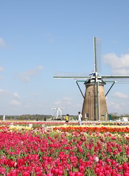 ทัวร์ญี่ปุ่น โตเกียว 6 วัน 4 คืน RJ-XJ117 ฟุรุซาโตะ ภูเขาทาคาโอะ สวนสันติภาพเฮวะ วัดไทเซกิจิ (ซากุระ) บิน XJ (DMK)